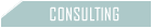 web consulting