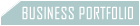 business portfolio